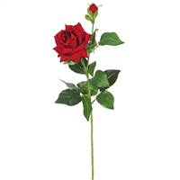 24" Velvet Red Rose (Pk/3)