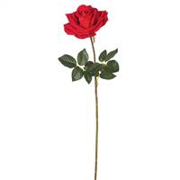 25" Single Velvet Red Rose (Pk/3)