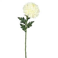 25" Single Marigold-Cream (Pk/3)