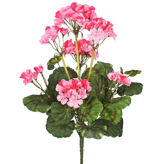 20" Pink Geranium Bush