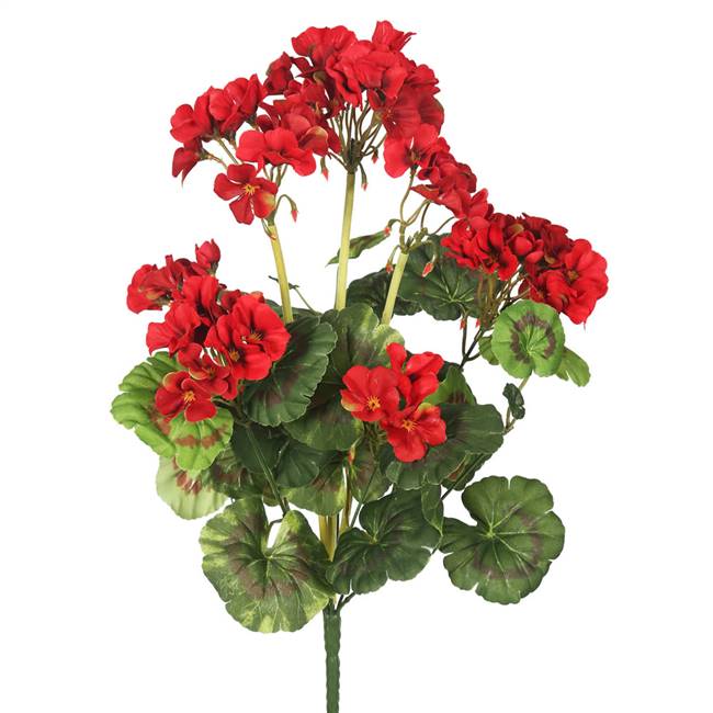 20" Red Geranium Bush