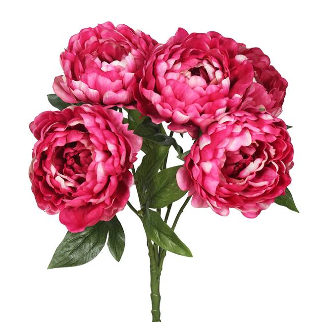 20" Hot Pink Peony Bunch