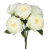 20" Cream Peony Bunch