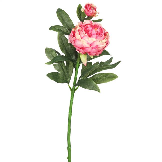 24" Peony x 2-Pink (Pk/3)