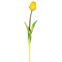 19" Single Tulip-Yellow (Pk/3)