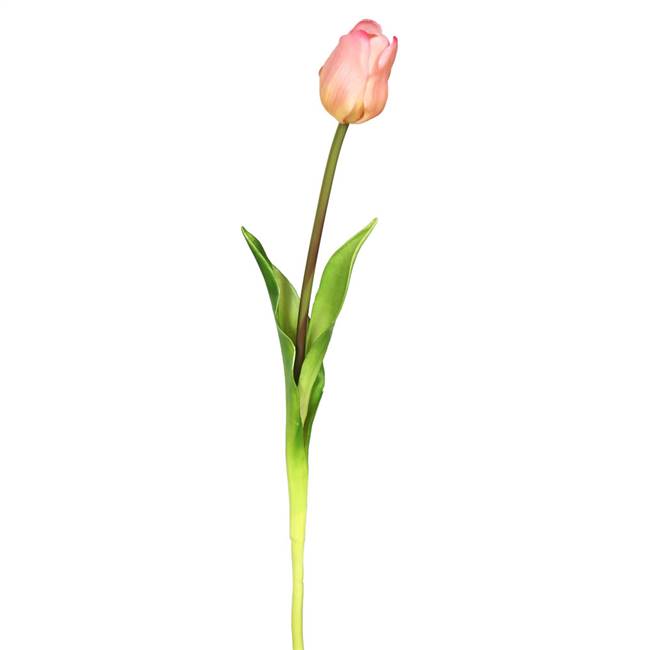 19" Single Tulip-Pink (Pk/3)