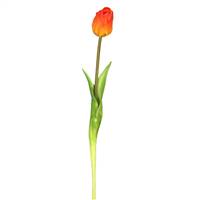 19" Single Tulip-Orange (Pk/3)