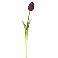 19" Single Tulip-Purple (Pk/3)