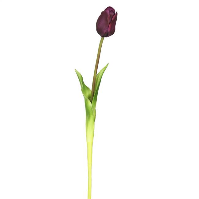 19" Single Tulip-Purple (Pk/3)