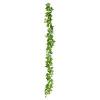 71" Green Frstd Ivy Vine RT 142 Lvs 3/Pk