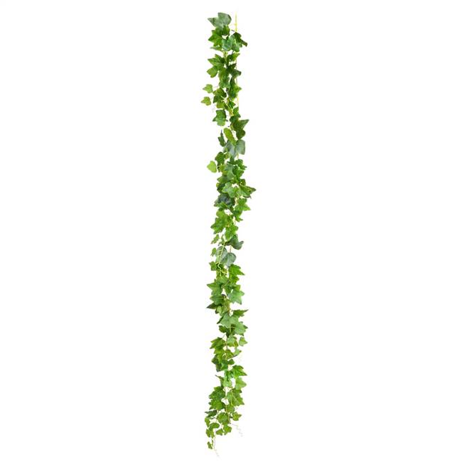 71" Green Frstd Ivy Vine RT 142 Lvs 3/Pk