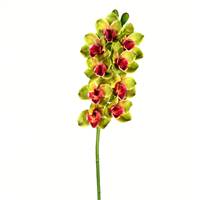 33" Green Cymbidium Stem Real Touch