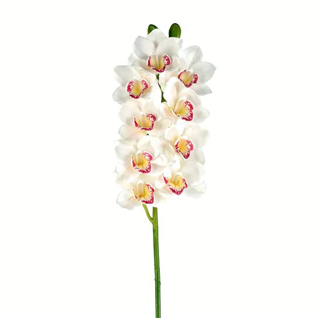 33" White Cymbidium Stem Real Touch