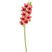 33" Purple Cymbidium Stem Real Touch