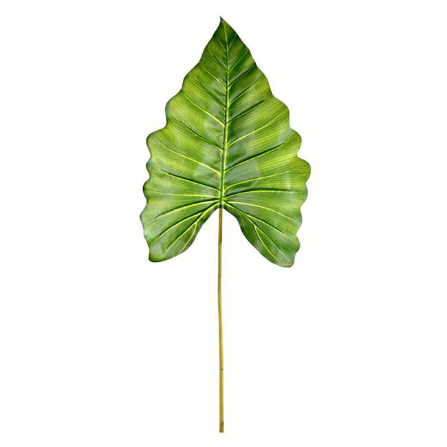 43" Green Calla Leaf Real Touch Pk/4