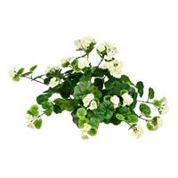 16" White Hanging Geranium Bush