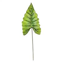 15" Calla Leaf Real Touch Pk/12