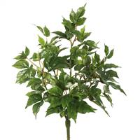 20" Maple Ivy Bush X 6 W/66 Lvs-Green