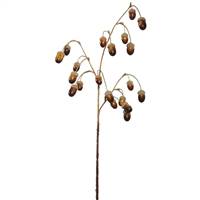 28" Acorn Spray X6 Green/Brown 4/Pk