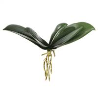 9.5" Orchid Leaf x 5-Green (PK/3)