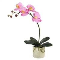 20" Potted Orchid x 4-Lavender
