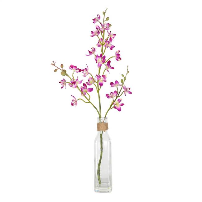 20.5" Mini Purple Orchid in Glass Pot