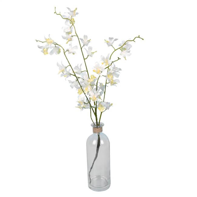 20.5" Mini White Orchid in Glass Pot