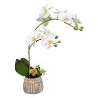 18" White Orchid in Ceramic Pot