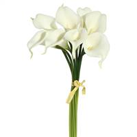 14'' White Calla Lily Bundle 8/Bundle