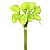 14'' Green Calla Lily 8/Bundle