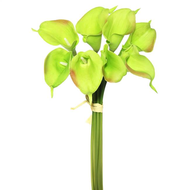 14'' Green Calla Lily 8/Bundle