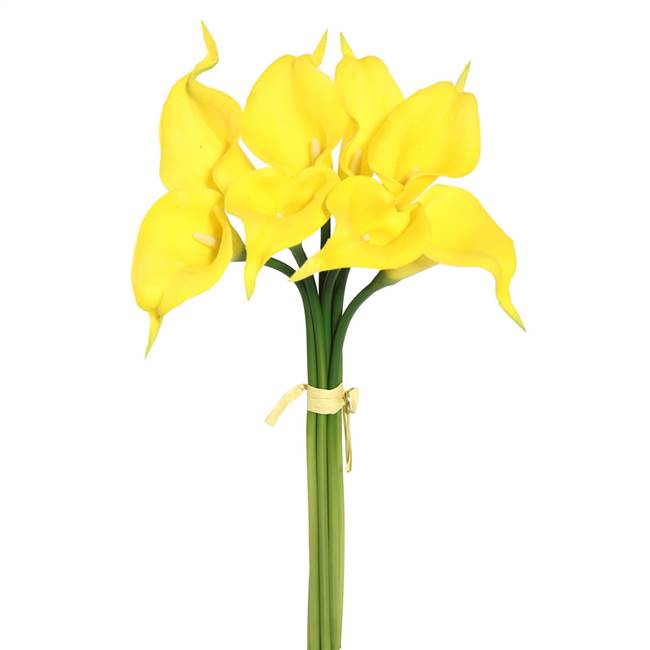 14'' Yellow Calla Lily 8/Bundle