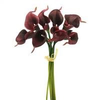 14'' Burgundy Calla Lily 8/ Bundle