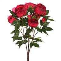 23'' Peony Bush X 6 Flwrs 3 Buds-Red