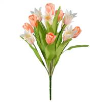 12" Pink Tulip Bush x 12