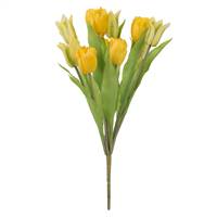 12" Yellow Tulip Bush x 12