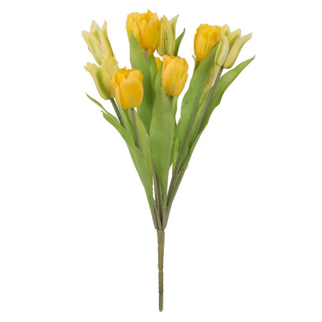 12" Yellow Tulip Bush x 12
