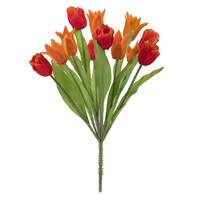 12" Orange Tulip Bush x 12