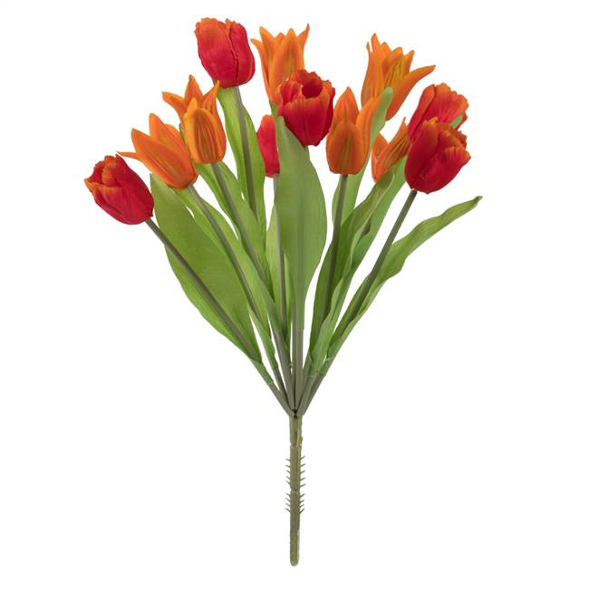 12" Orange Tulip Bush x 12