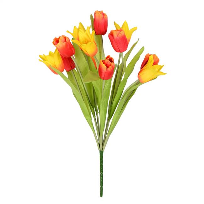 12" Yellow/Red Tulip Bush x 12