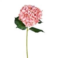 33" Pink Hydrangea Spray (2/pk)