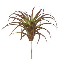 6.5" Tillandsia Pick (PK/3)