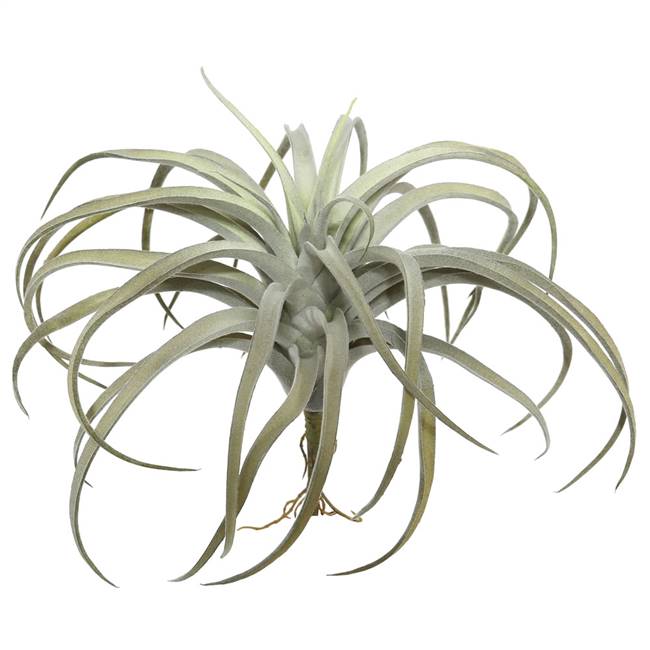 10.5" Gray Tillandsia Pick