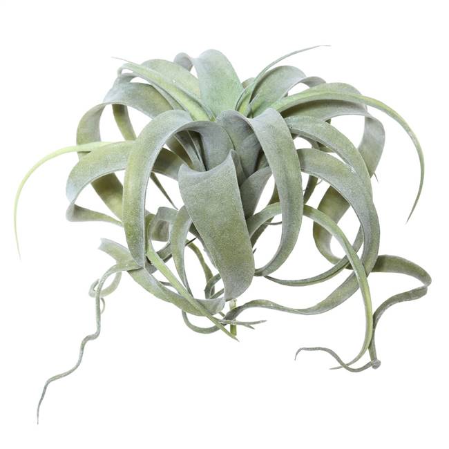 10.5" Green Tillandsia Pick