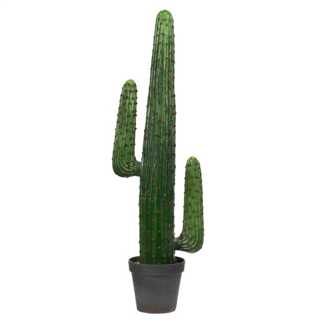 49" Cactus in Gray/Lt Red Pot