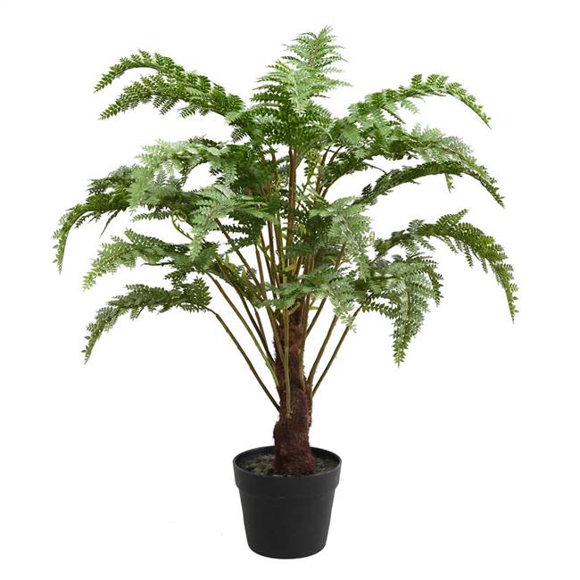 30" Green Fern in Round Black Pot