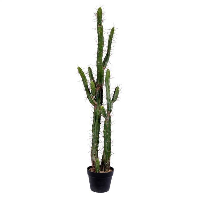 46" Green Potted Cactus