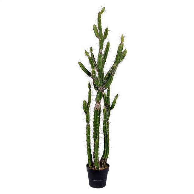 56" Green Potted Cactus