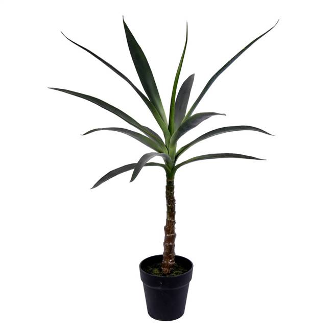 30" Green Potted Yucca Tree