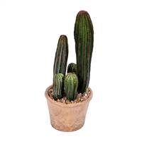 10.5" Green Potted Cactus